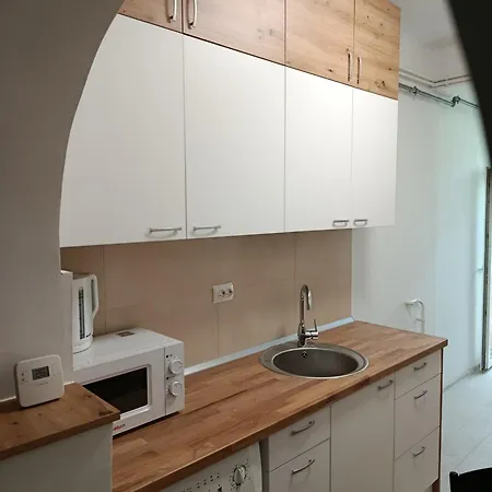 Ami 2 Centru 아파트