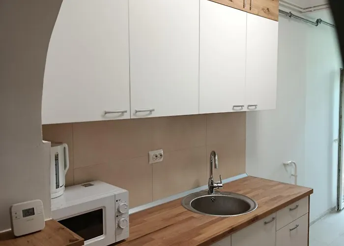 Ami 2 Centru アパート